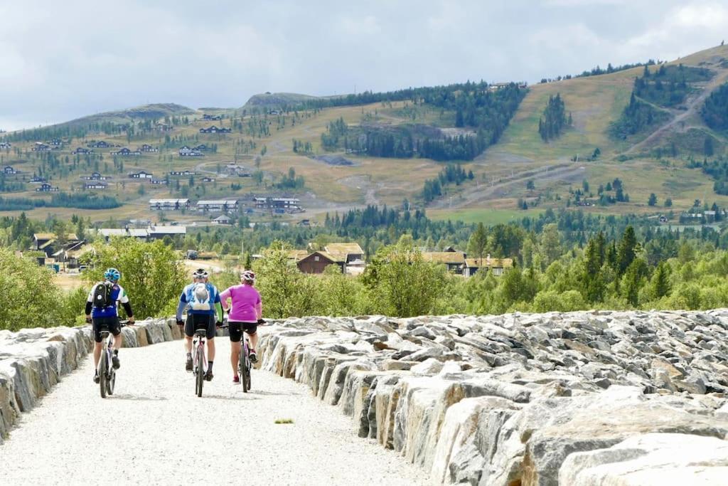 Golsfjellet - Bualie, Milevis Med Sykkelveier, Fiske Og Vannaktivitet, Ski Inn/Ut Til Alpinanlegg Og Langrennsloyper. 외부 사진
