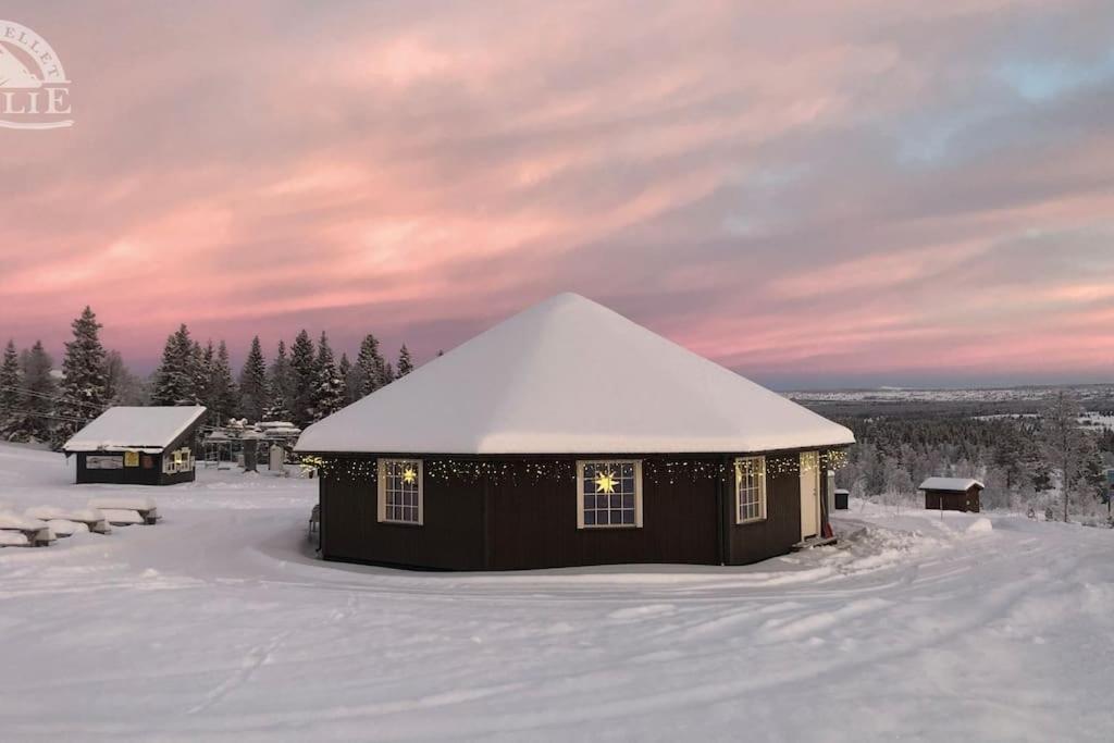 Golsfjellet - Bualie, Milevis Med Sykkelveier, Fiske Og Vannaktivitet, Ski Inn/Ut Til Alpinanlegg Og Langrennsloyper. 외부 사진